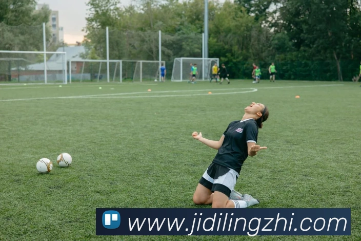 App Interface Preview